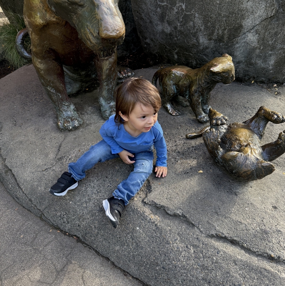 Meet your Posher, Shanie ( My Grandson)